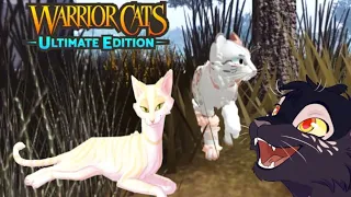 ДОНАТНЫЙ СКИН ✌️[ Warriors cats ultimate edition] Идея в котах воителях.