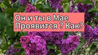 Он и ты в Мае ♥️