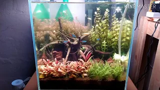 Nano Tank Aquascape