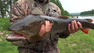 Fishing adventure in the Russian taiga. Taimen fishing. Part 2