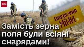 🔥 Розмінували - можна сіяти! Усе більше українських полів стає придатних для обробітку