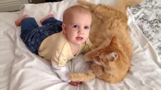 Cats Meeting Babies for the FIRST Time NEW Compilation 2021