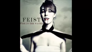 Fire In The Water: Feist