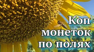 Коп монет в полях України 2022