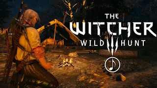 Witcher Meditation-1 Hour Atmospheric Ambience🎶Nature, Wind, Campfire, Rain. ASMR