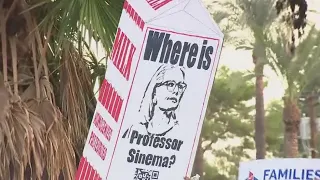 Arizona Senator Kyrsten Sinema faces protesters at Phoenix resort fundraiser