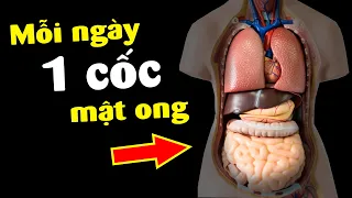 Lợi ích không ngờ khi uống 1 ly Mật ong mỗi ngày