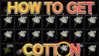 How to get COTTON in V Rising  - COTTON V RISING GUIDE