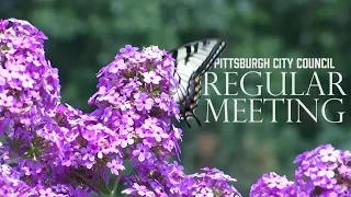 Pittsburgh City Council Regular Meeting - 2/5/19