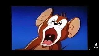 tom and jerry screaming