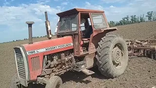 hola mi gente aca mostrando lo que hago en el campo