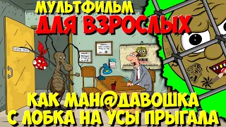 Анекдоты. Как Ман@давошка через лобок на усы прыгает. Мультанекдот