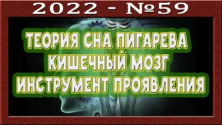 Висцеральная теория сна Пигарева. Кишечный мозг. Попытка управления внешним. Инструмент проявления.