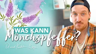 Mönchspfeffer bei Kinderwunsch, unregelmäßigem Zyklus, PCO und PMS l was ist wissenschaftlich dran?