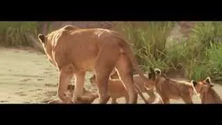 Mahali Mzuri, Quênia -- by Teresa Perez Tours