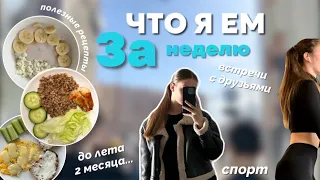 Что Я Ем за Неделю? 🥗🍕 вкусные и полезные рецепты