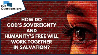 How do God’s sovereignty and humanity’s free will work together in salvation? | GotQuestions.org