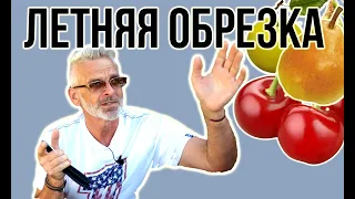 ЛЕТНЯЯ ОБРЕЗКА плодовых деревьев / Как обрезать летом / Игорь Билевич