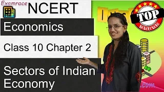 NCERT Class 10 Economics Chapter 2: Sectors of Indian Economy (Dr. Manishika) | English | CBSE