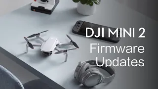 DJI Mini 2 | How To Update the Firmware