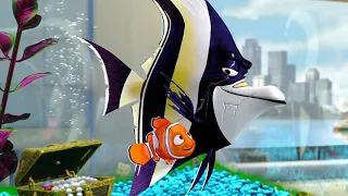 Alla Ricerca di Nemo (2003): Nemo incastrato nell' acquario - Full-Hd - ITA