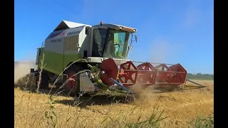 Wheat harvest 2018 - Claas Mega 350