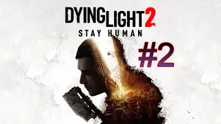 Птичку жалко в Dying Light 2.№2.#dyinglight2