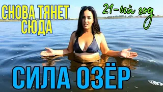 И снова СОЛЕНОЕ ОЗЕРО Алтая с.Завьялово / Грибы из леса тащили вёдрами!