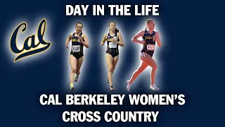 Day in the Life of Cal Berkeley Women's Cross Country