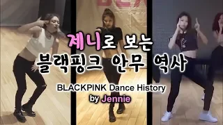 제니로 보는 블랙핑크 안무 역사 BLACKPINK Dance History by Jennie