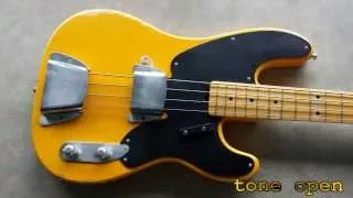 Fender RI 51 precision bass custom, curtis novak pickup