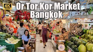 [4K🇹🇭] OR TOR KOR Market - Bangkok | Best High Quality fresh market in Thailand 2024
