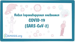 COVID-19 - Новая коронавирусная пневмония