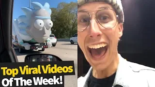 Top 40 Best Viral Videos Of The Month - November 2019 (Try not to laugh)