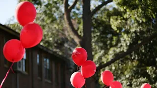 Winning seat of Aston would be an 'extraordinary result' result for Labor