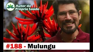 Autor da Própria Saúde - Mulungú [ansiedade, estresse, insonia, hipertensão, convulsões]