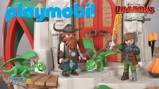 Dragons Berk from Playmobil
