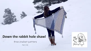 Down The Rabbit Hole shawl (part 1/5) - Easy free crochet video tutorial