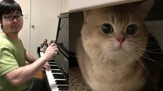 Piano Duet with Cute Cat singing a Soothing Song