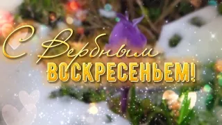 Вербное Воскресенье! Красивое поздравление с Вербным Воскресеньем 2023!