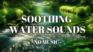 Soothing Creek Water Stream Nature Background Sounds | No Music 4k | For Relaxing Focusing Studying