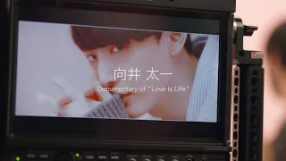 向井太一 / Love Is Life（Documentary Video）