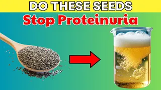 Eat 11 These Seeds to Stop Proteinuria Fast and Kidney Repair | PureNutrition