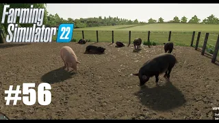 120 MALÝCH PRASIATOK🐷🐖!!! - Farming Simulator 22 #56 SK/CZ