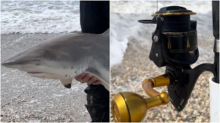 Shark Fishing Texas Beach With Spinning Gear