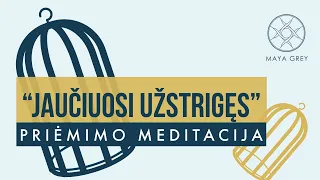 JAUČIUOSI UŽSTRIGĘS - Priėmimo ir dėkingumo meditacija lietuviškai