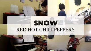 Snow (Hey Oh) (Red Hot Chili Peppers) - Cover