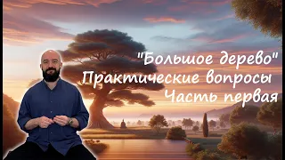 Практические вопросы Чжун Юань Цигун: упражнение "Большое Дерево"