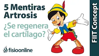 5 MENTIRAS que te has creído sobre la ARTROSIS O DESGASTE DE CARTÍLAGO