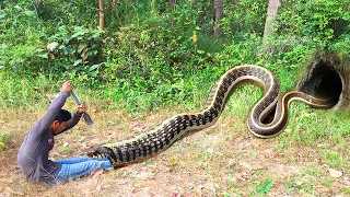 Easy Snake Trap - Creative Method DIY Snake Trap Using White Container That Work 100%